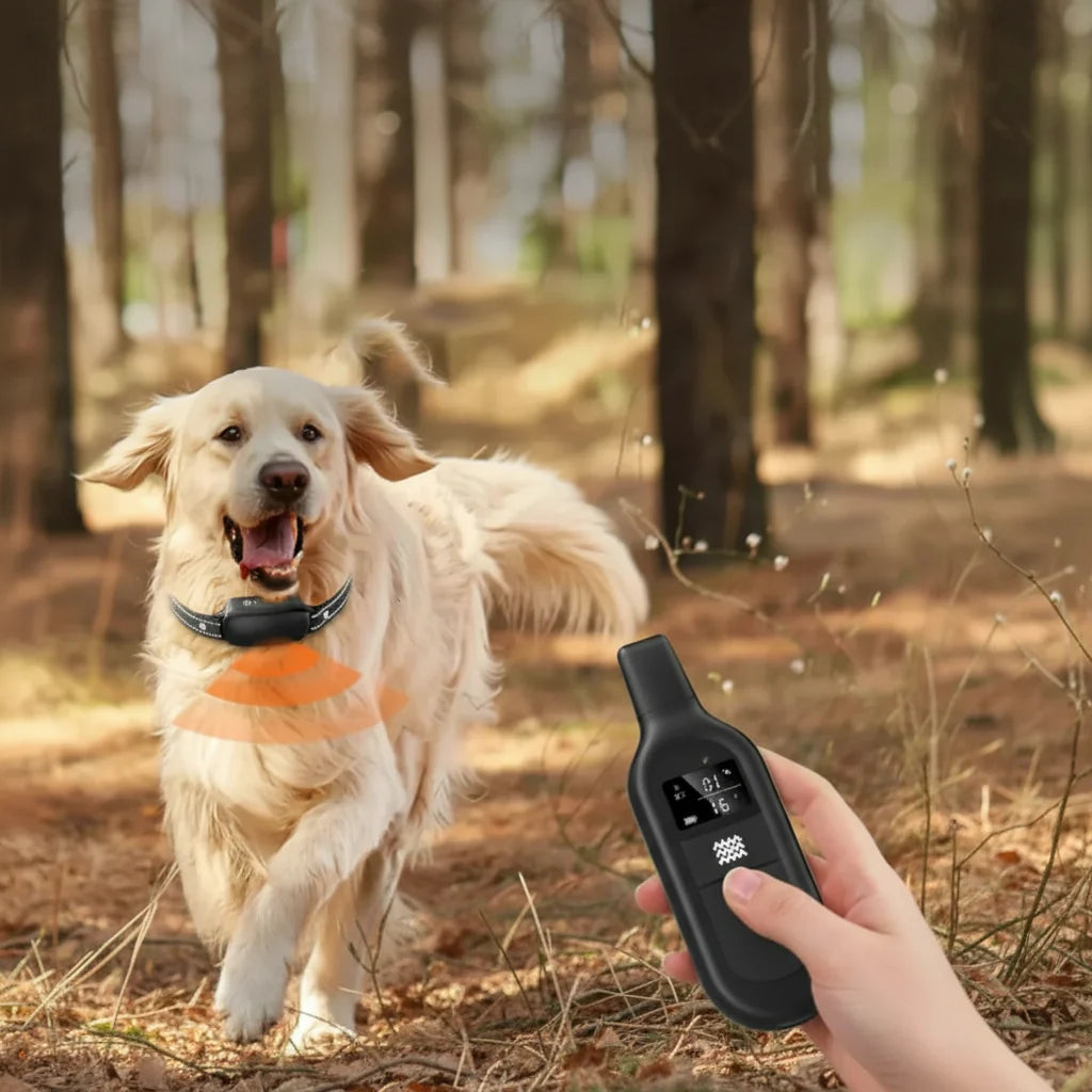 Havenholt Remote Dog Training Collar, IPX7 Waterproof