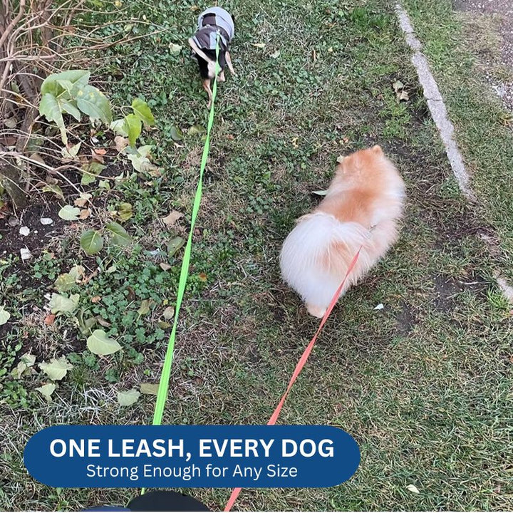 Havenholt 10ft Dual Retractable Dog Lead with Torch
