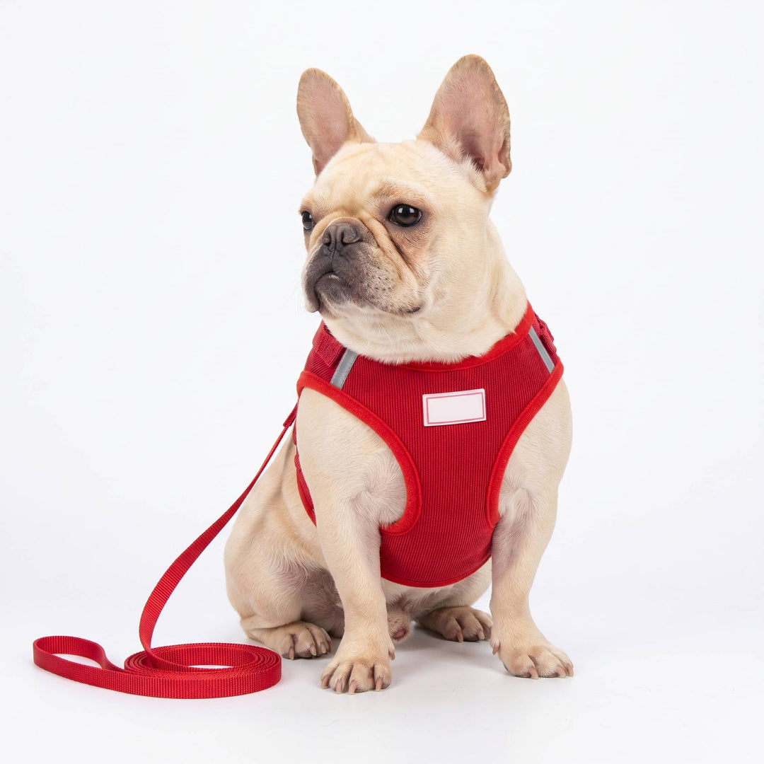 Havenholt Reflective Corduroy Dog Harness and Lead Set
