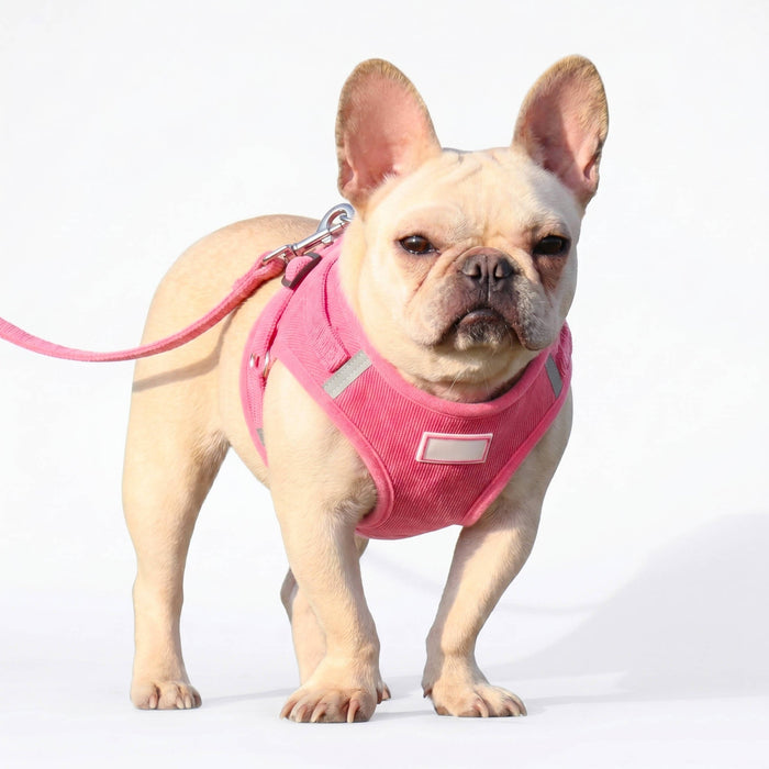 Havenholt Reflective Corduroy Dog Harness and Lead Set