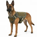 Tactical Military Dog Harness Set with Collar and Lead, Adjustable Training and Hunting Gilet for Medium and Large Breeds