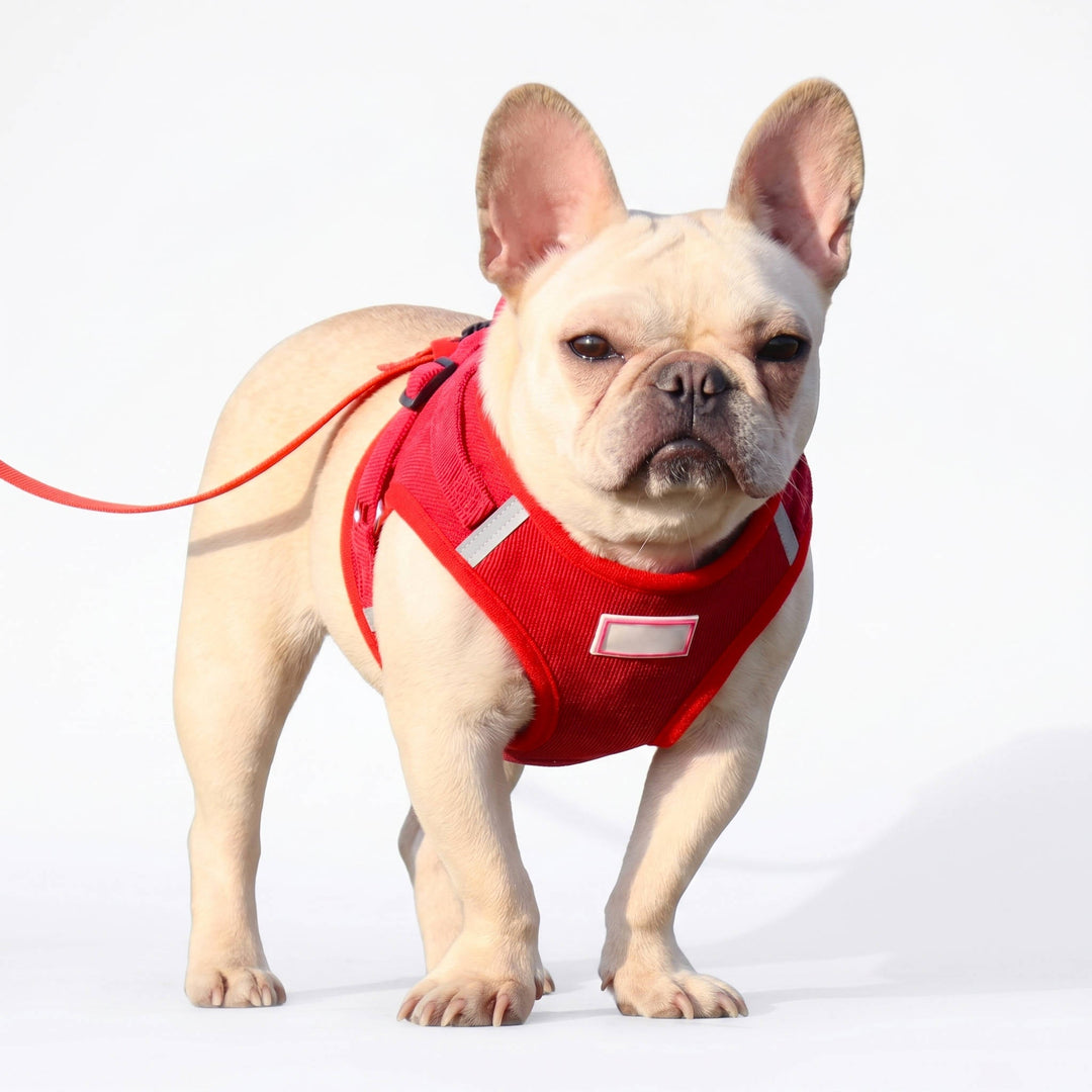 Havenholt Reflective Corduroy Dog Harness and Lead Set