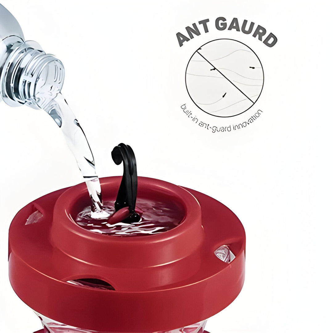 Havenholt Bee-Proof Hummingbird Feeder with Perches