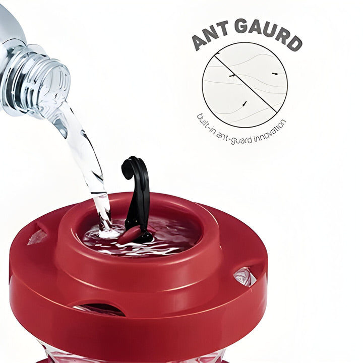 Havenholt Bee-Proof Hummingbird Feeder with Perches