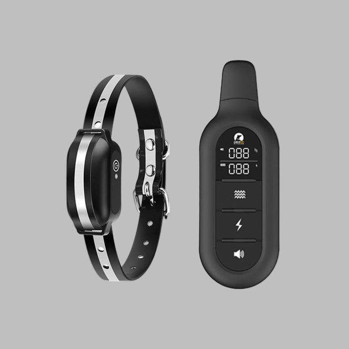 Havenholt Remote Dog Training Collar, IPX7 Waterproof