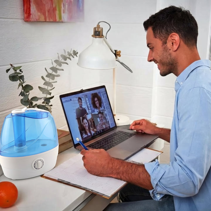 Quiet Cool Mist Humidifier for Office and Desk