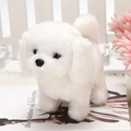 Realistic Teddy Dog Lucky Plush Puppy