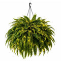 UV Resistant Lifelike Artificial Boston Fern