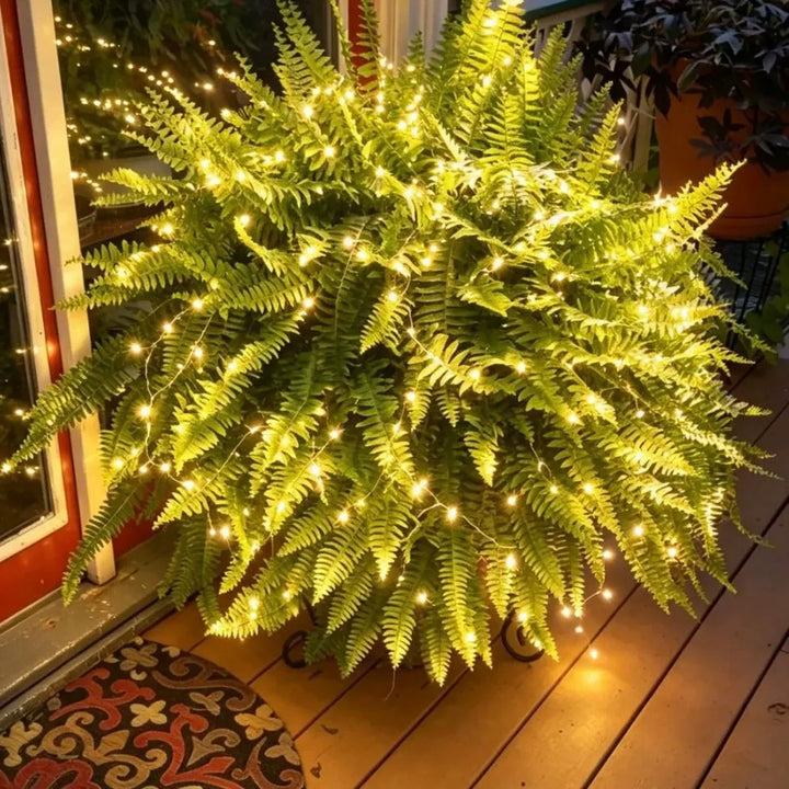 UV Resistant Lifelike Artificial Boston Fern