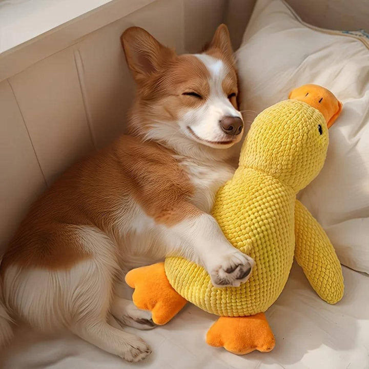 Havenholt Squeaky Fleece Duck Toy for Anxious Dogs