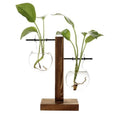Havenholt Hydroponic Vase with Wooden Frame and Glass Reservoir