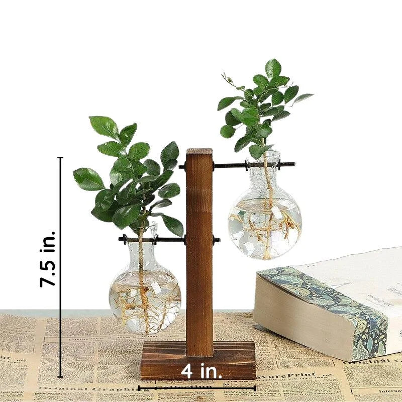 Havenholt Hydroponic Vase with Wooden Frame and Glass Reservoir