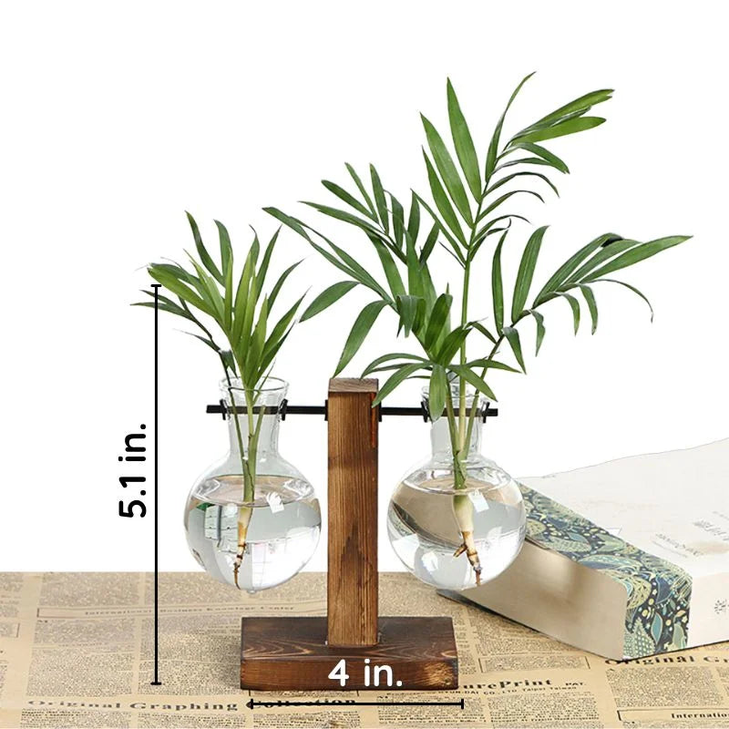 Havenholt Hydroponic Vase with Wooden Frame and Glass Reservoir
