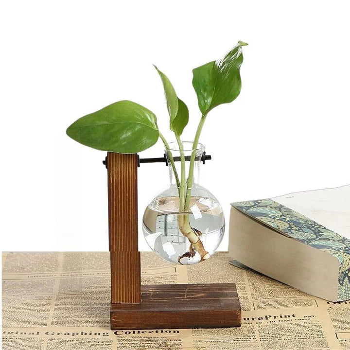 Havenholt Hydroponic Vase with Wooden Frame and Glass Reservoir