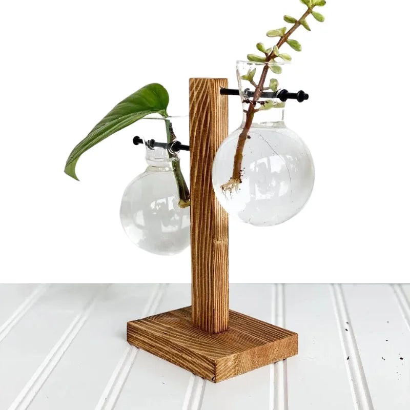 Havenholt Hydroponic Vase with Wooden Frame and Glass Reservoir