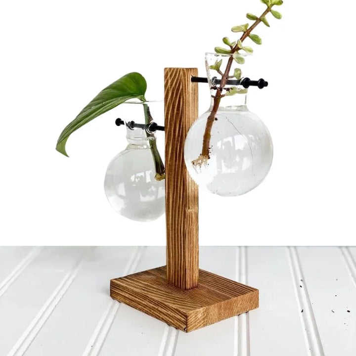 Havenholt Hydroponic Vase with Wooden Frame and Glass Reservoir