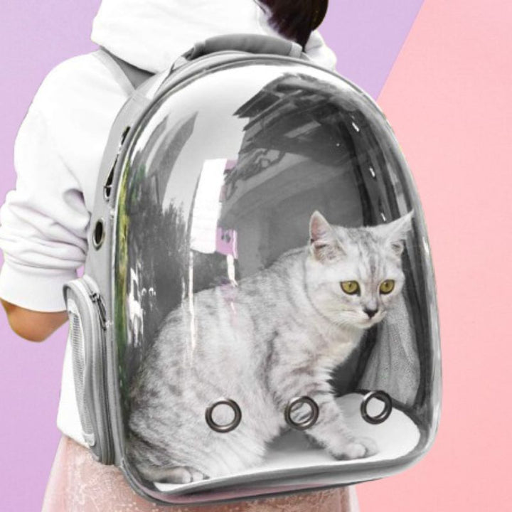 Havenholt Space Capsule Pet Carrier Backpack