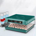 Havenholt Digital Egg Incubator with Adjustable Tray