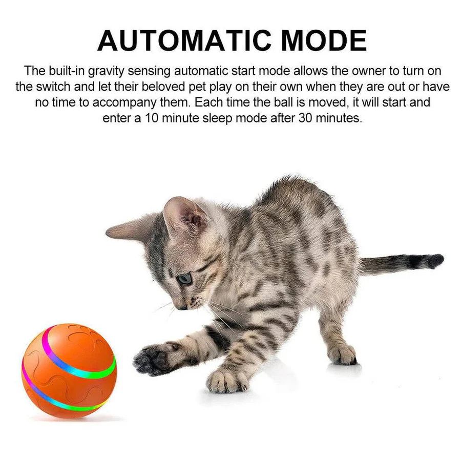Interactive Dog and Cat Ball Toy