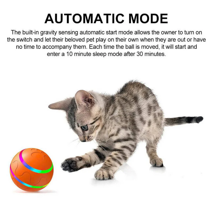 Interactive Dog and Cat Ball Toy