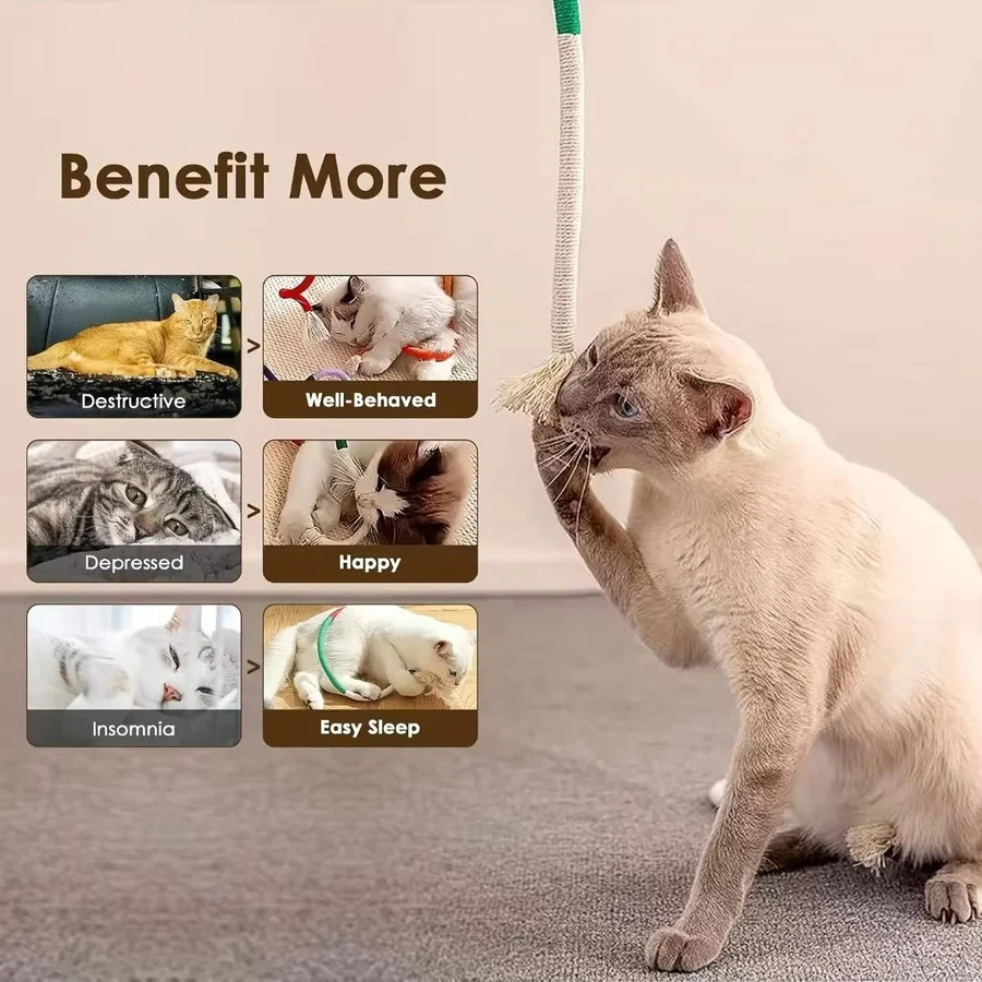 Havenholt Multi-Texture Rope Chew Toys for Cats