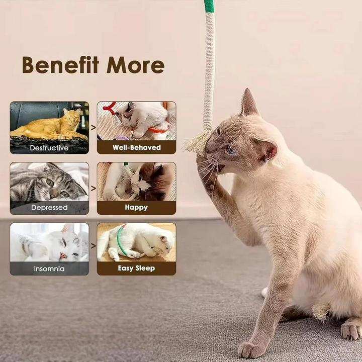 Havenholt Multi-Texture Rope Chew Toys for Cats