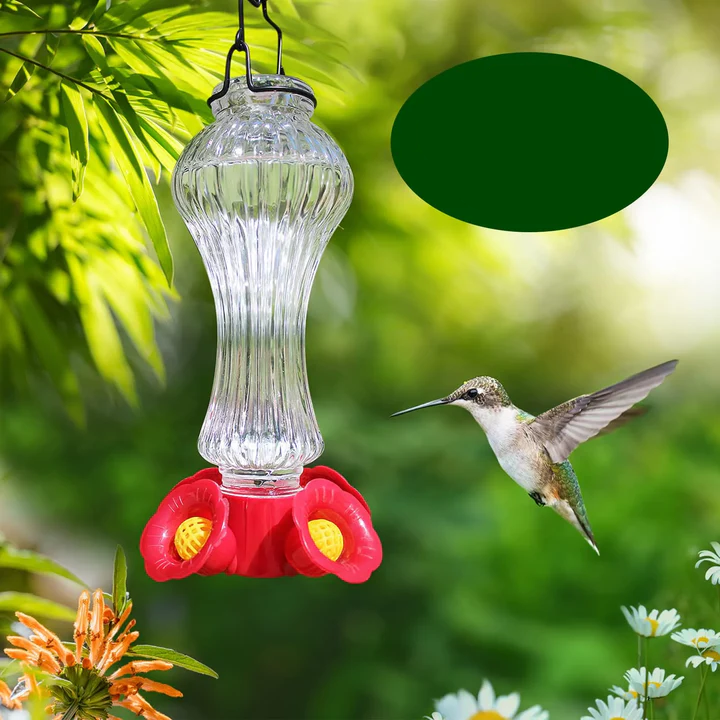 Flowers Glass Hummingbird Feeder With Ant Moat