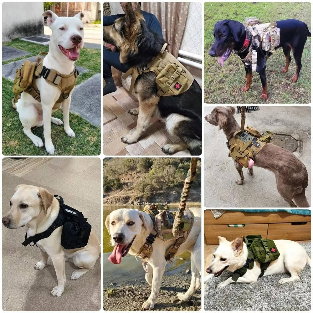 Tactical Military Dog Harness Set with Collar and Lead, Adjustable Training and Hunting Gilet for Medium and Large Breeds