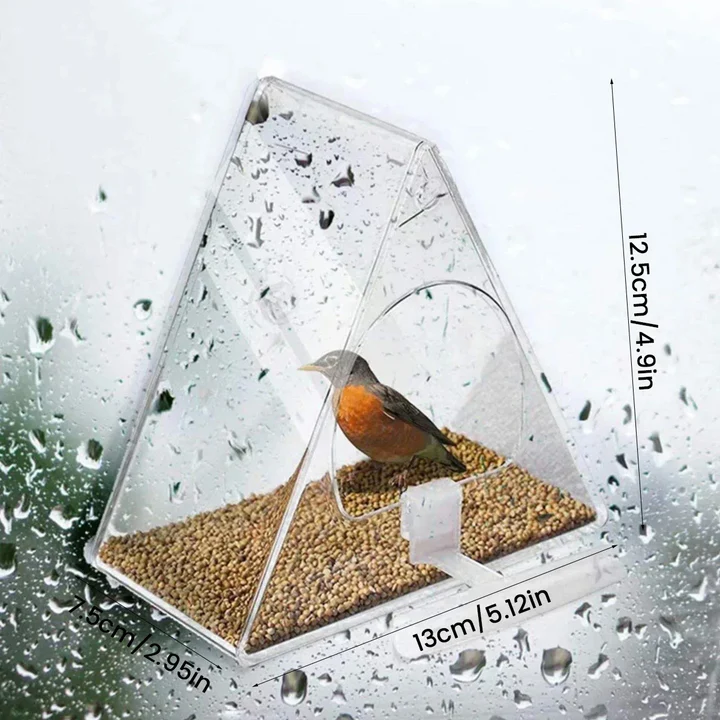 Clear Acrylic Hanging Bird Feeder