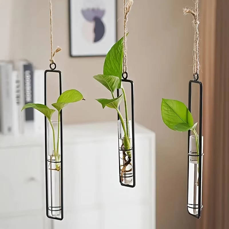 Havenholt Wall-Hanging Glass Propagation Station