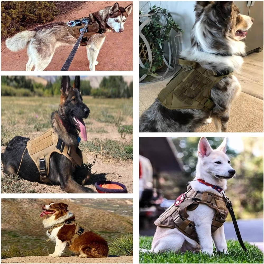 Tactical Military Dog Harness Set with Collar and Lead, Adjustable Training and Hunting Gilet for Medium and Large Breeds