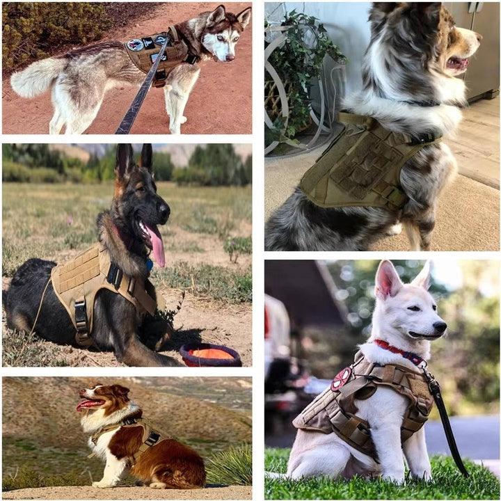Tactical Military Dog Harness Set with Collar and Lead, Adjustable Training and Hunting Gilet for Medium and Large Breeds