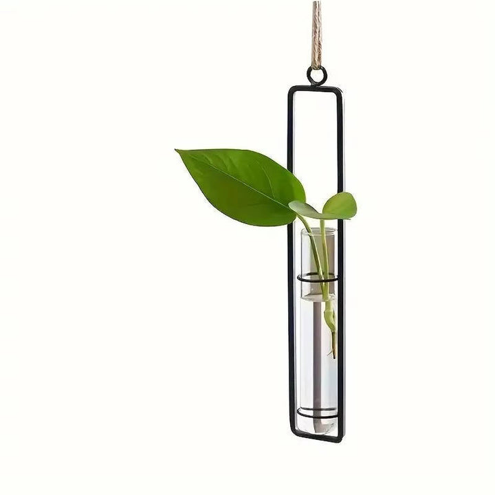 Havenholt Wall-Hanging Glass Propagation Station
