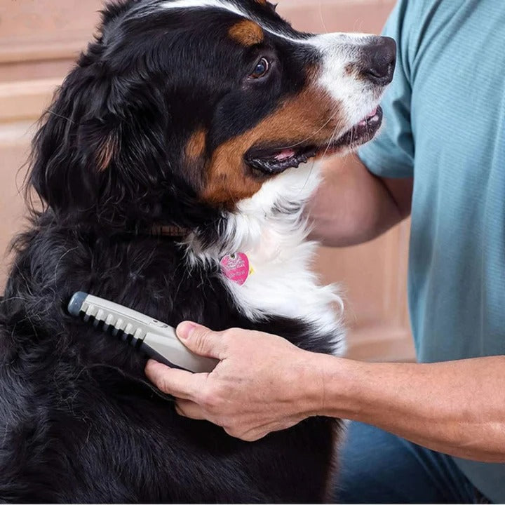 No More Knots And Tangles For Your Pet