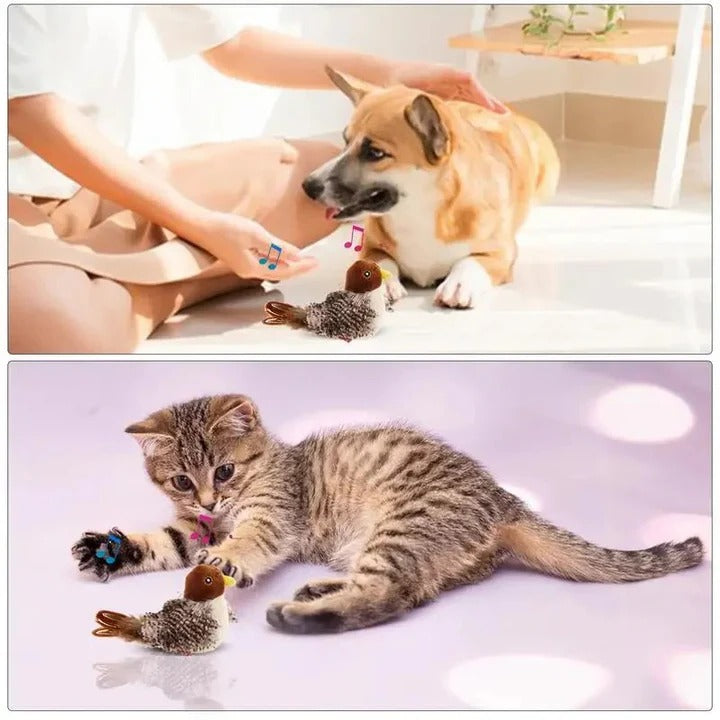 Interactive Sound Bird Cat and Dog Toy