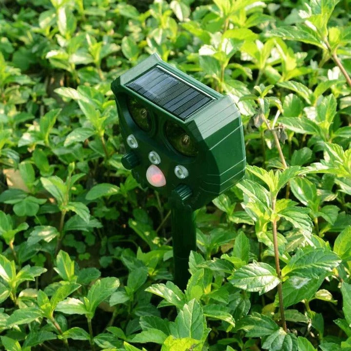Ultrasound and Noise Sonar Repellent Deterrent