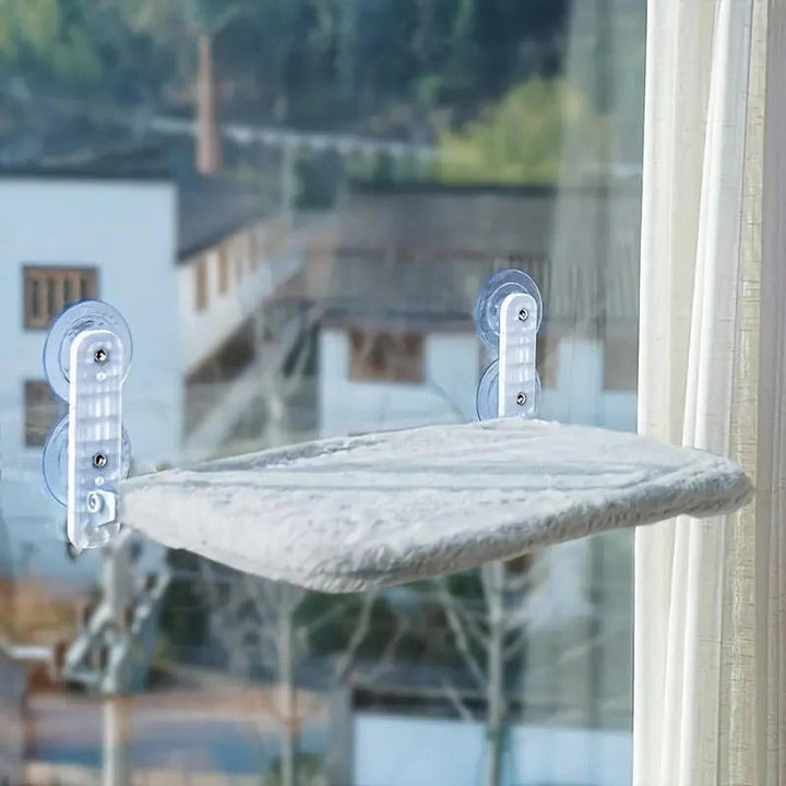Cat Hammock Window
