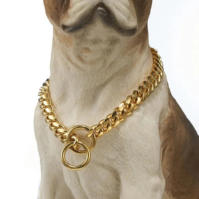 Heavy Duty Dog Collar