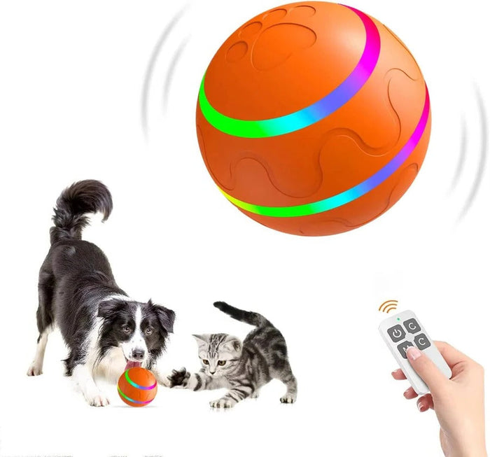 Interactive Dog and Cat Ball Toy
