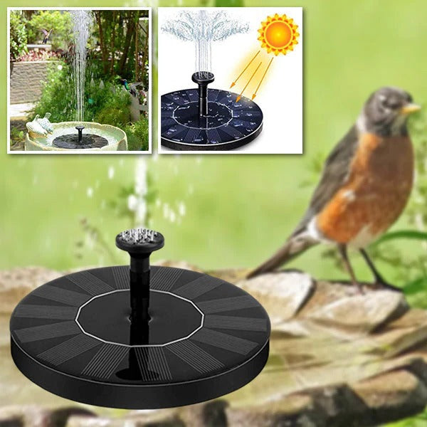 Solar Powered Water Fountain