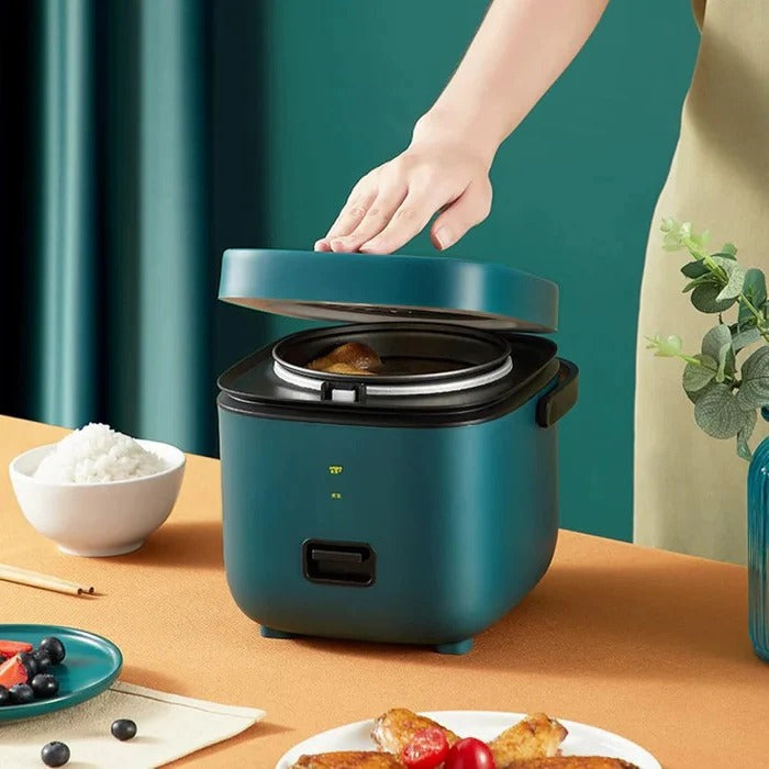 Mini Rice Cooker with Non-Stick Pot