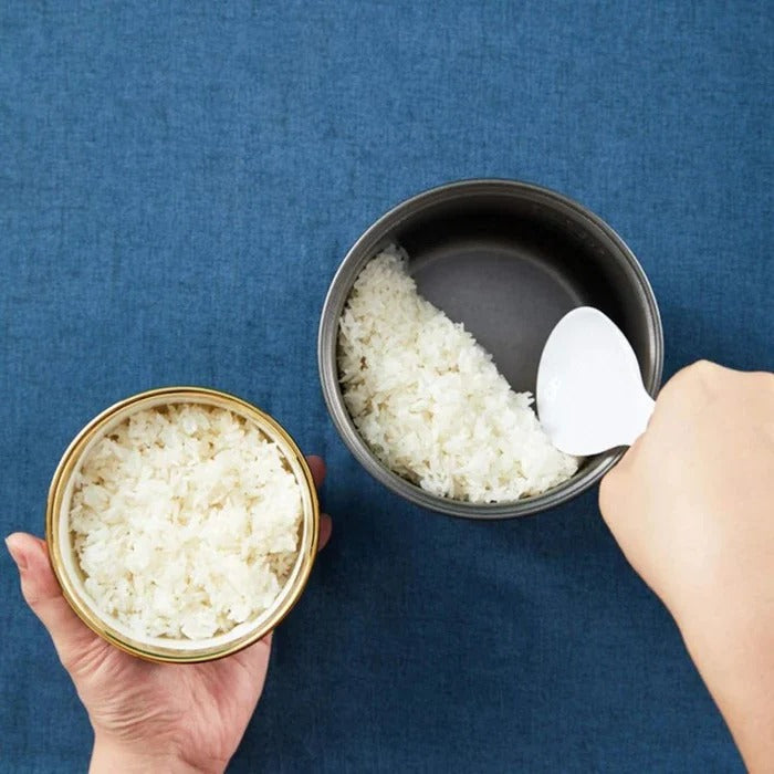 Mini Rice Cooker with Non-Stick Pot