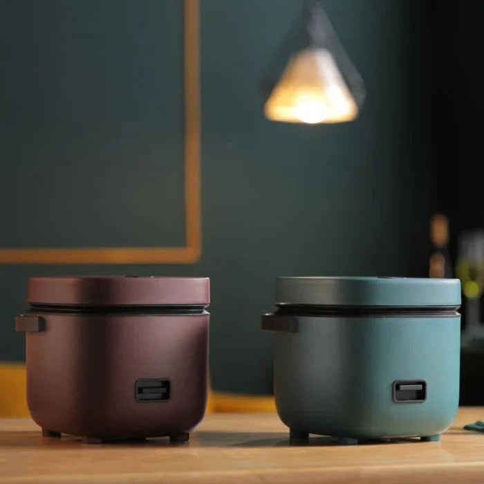 Mini Rice Cooker with Non-Stick Pot