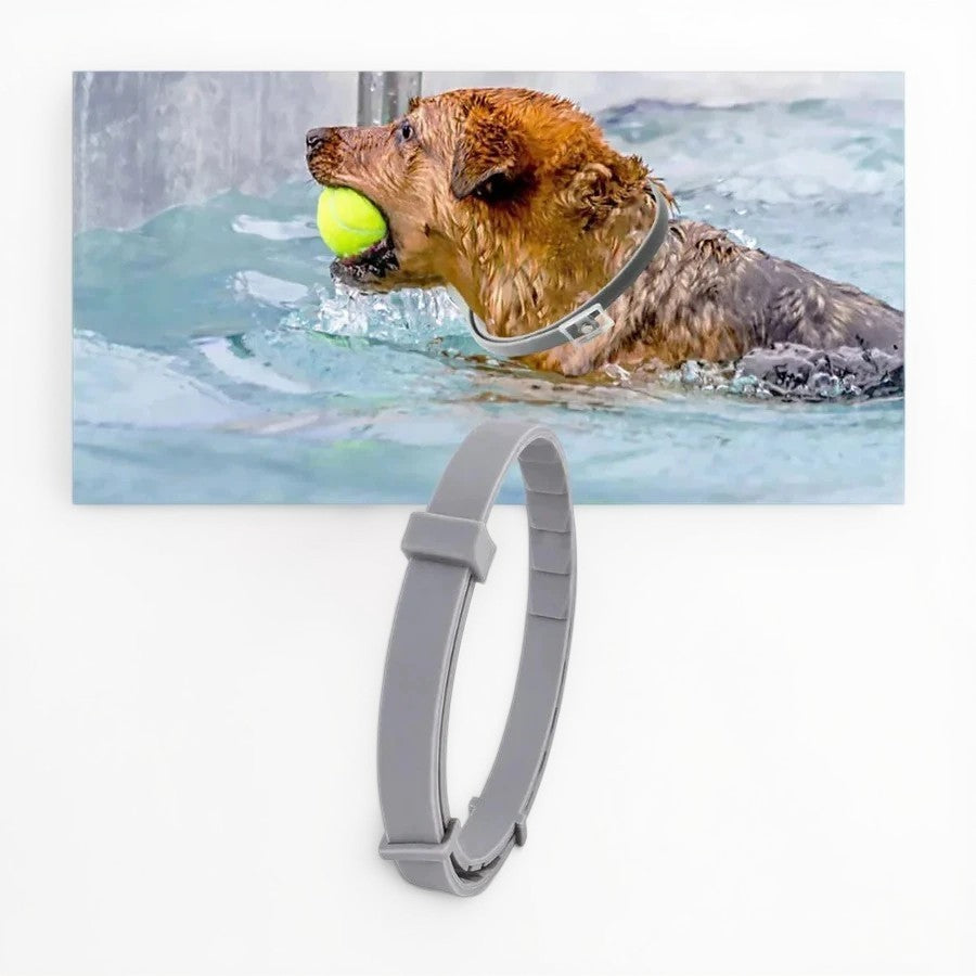 Adjustable Pet Flea and Tick Repellent Collar – For Dogs and Cats, Water-Resistant