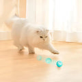 Havenholt Self-Rolling Interactive Pet Ball