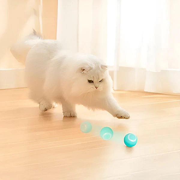 Havenholt Self-Rolling Interactive Pet Ball