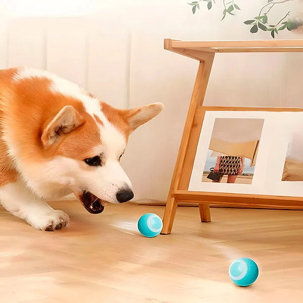 Havenholt Self-Rolling Interactive Pet Ball