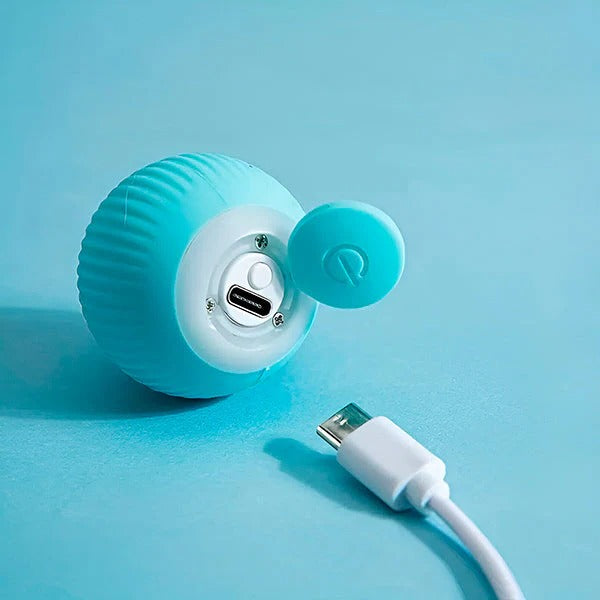 Havenholt Self-Rolling Interactive Pet Ball