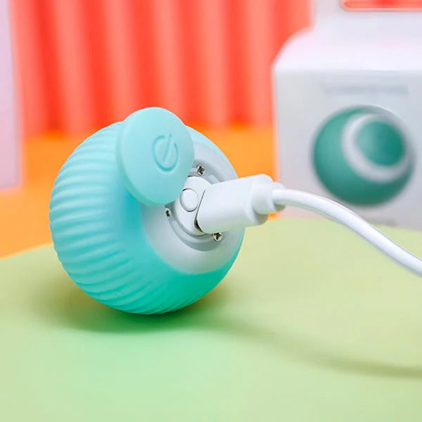 Havenholt Self-Rolling Interactive Pet Ball