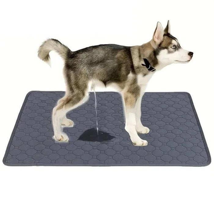 Havenholt Absorbent Puppy Training Pads, Reusable or Disposable